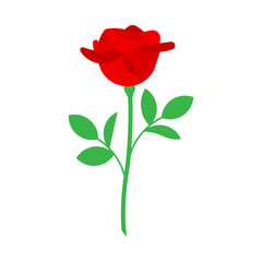 Red rose with leaves. Vector illustration. Isolated on white background.
