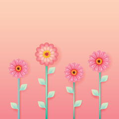 Pink zinnia flower on pastel color background.