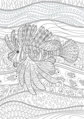 Coloring page for adults with lion fish and complex background in zentangle style  - 354752973
