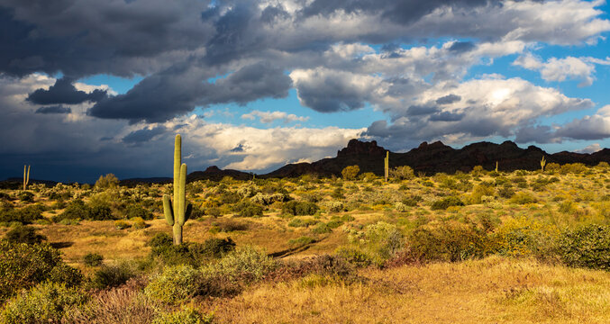 Landscape of mountains and storm clouds in the Arizona desert