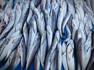 Fototapeta premium Fresh catch of sardine fishes in market