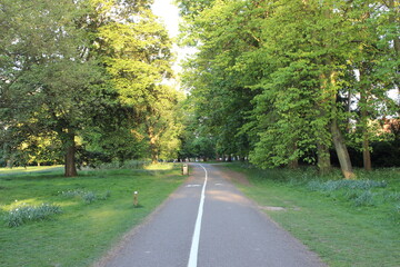 Watford Cassiobury park