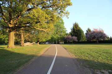 Fototapeta premium Watford Cassiobury park