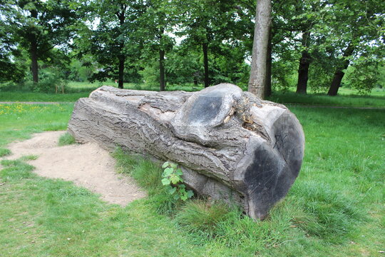 Watford - Cassiobury Park