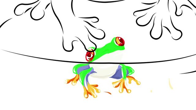 exotic amphibian with vibrant vivid colored skin and red eyes living on a tropical atmosphere like south or central america observing what insects to eat