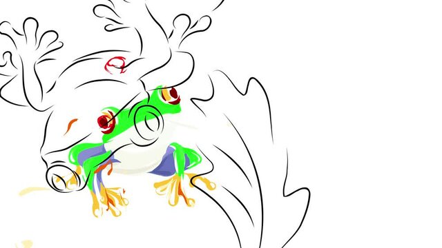 agalychnis tree frog with green shiny skin standing on a reck surrounded by leafs peeping with its red eyes suggesting it is a curious animal