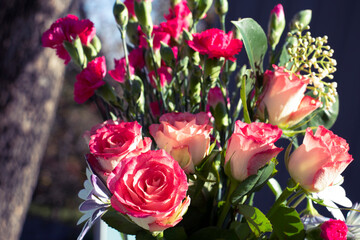 fresh white and red roses, natural flowers photography