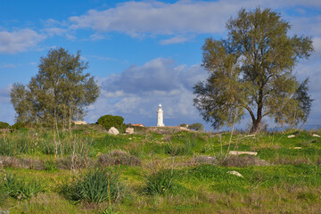 Pafos lighthouse, green lawn and big trees in the foreground