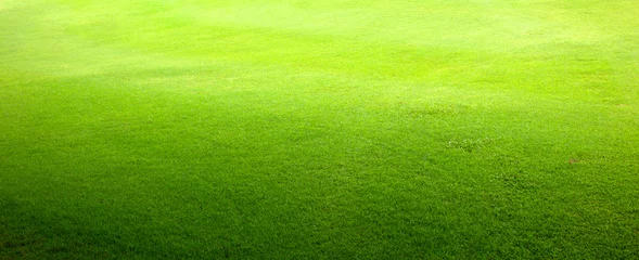 Fotobehang grass background Golf Courses green lawn © scenery1