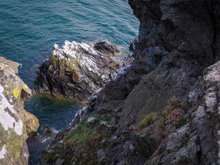 rocks in the ocean by the cliffs