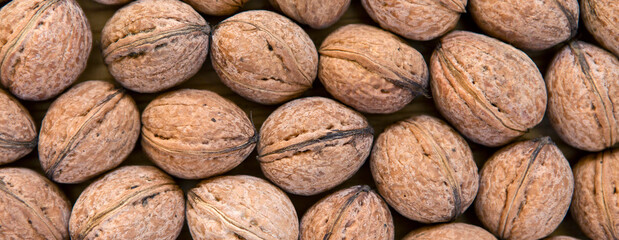 walnuts background, nuts texture