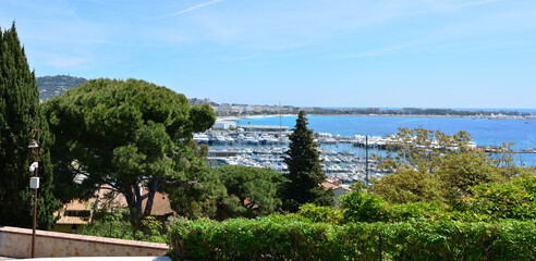 Fototapeta premium The city of Cannes in France, the famous Promenade de la Croisette and marina with yachts, French Riviera