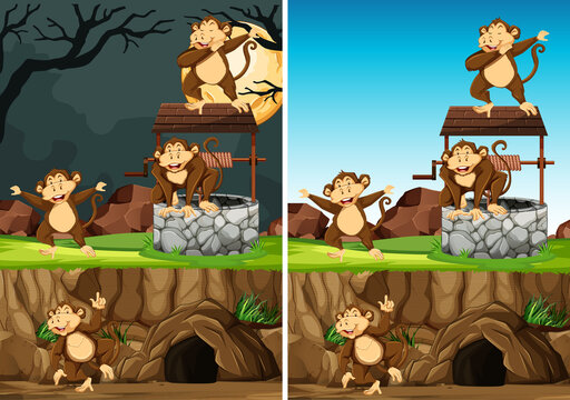Wild monkey group in many poses in animal park cartoon style isolated on day and night background