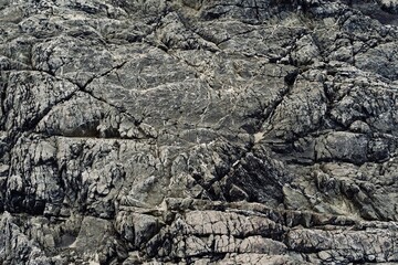 bedrock with dark lines and marks from the coastline of Vancouver Island 