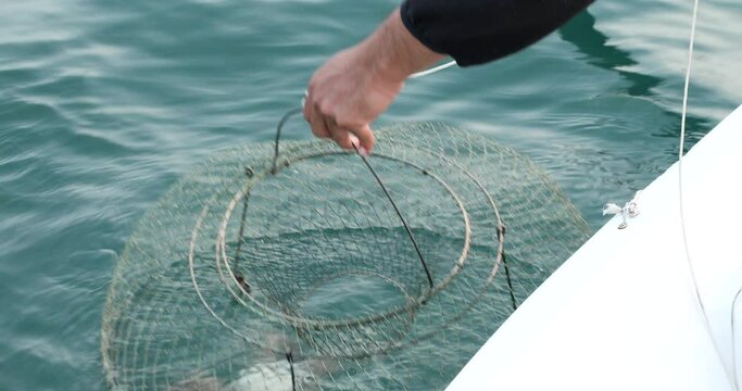 Big octopus in a trap on sea a pulling fishing boat