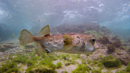 DCIM\100GOPRO\G0189775. © Andres