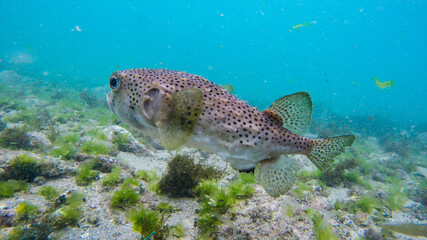 DCIM\100GOPRO\G0189780. © Andres