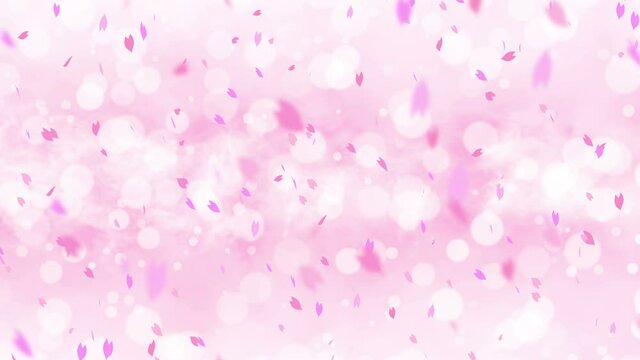 Colorful bright petals swinging in spring background with sun flares. Beautiful nature scene. Illustration cherry blossom petals. Abstract spring graphic. Loop animation.