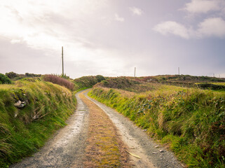 Fototapeta na wymiar country road in rural Ireland