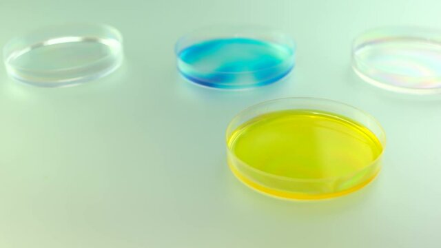 Petri dishes with colorful liquid at laboratory. Close up of lab containers with colored liquid. Scientific research concept.