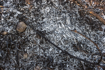 Ashy gray surface, burnt plants, grass and branches on the scorched earth after the fire went out. Detailed ash texture after the forest fire, top view. Consequence of global warming and hot weather.