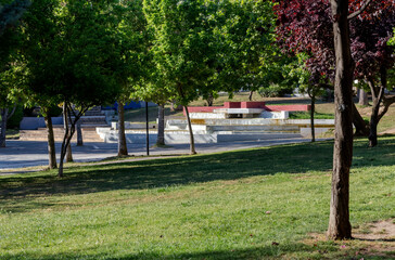 Obraz premium Egaleo Baroutadiko grove (Greece) in morning