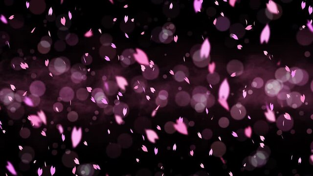 Colorful bright petals swinging in spring background with sun flares. Beautiful nature scene. Illustration cherry blossom petals. Abstract spring graphic. Loop animation.