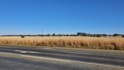 road in the countryside
