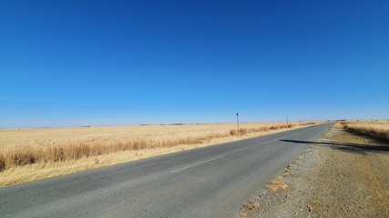 road next to a field