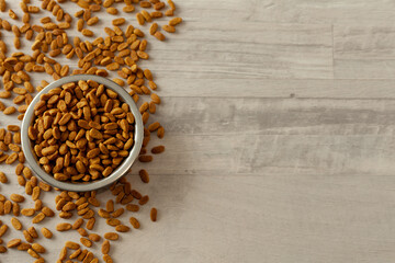 bowl with pet food close-up top view, free space for text, wooden background