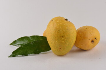 In the same picture of all the food made from mangoes.