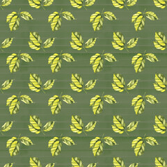 Spring tender green leaves, watercolor, pattern, abstract, wallpaper.