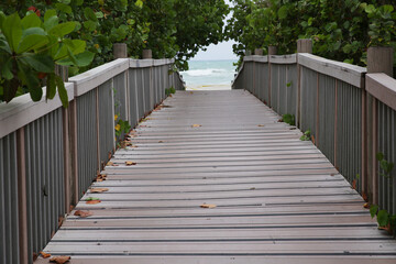 wooden bridge in the park and ocean or sea