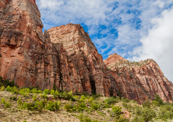 Fototapeta na wymiar The Soaring Navajo Sandstone Walls of Pipe Creek Canyon, Zion National Park, Utah, USA
