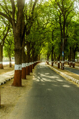 A Boulevard on a Gandhinagar road