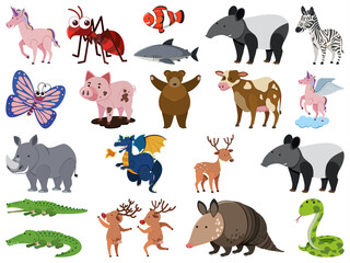 Obraz premium Large set of wild animals on white background
