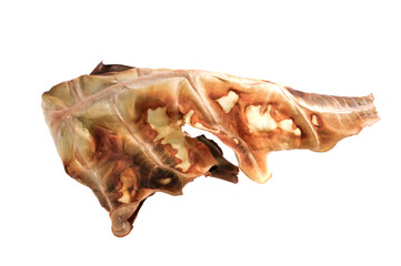 dry leaf isolated on white background