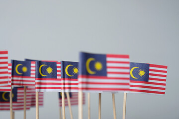Miniature Flag of Malaysia on white background.