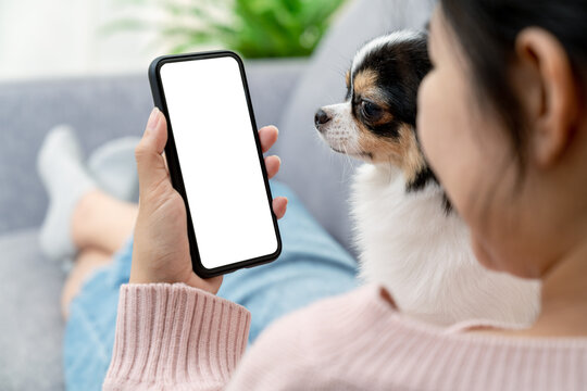 Close up back rear view of young asian female with pet hold phone on white blank screen for montage mockup display device watch screen in concept of lifestyle with digital technology in millennial. - Powered by Adobe