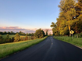 country road in autumn