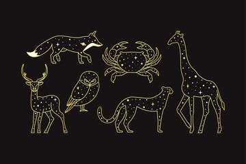 Animals stars constellation on a black background © boex
