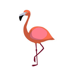 Pink flamingo isolated on a white background. Color illustration.