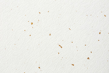 紙のテクスチャー