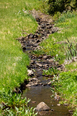 stream in the forest