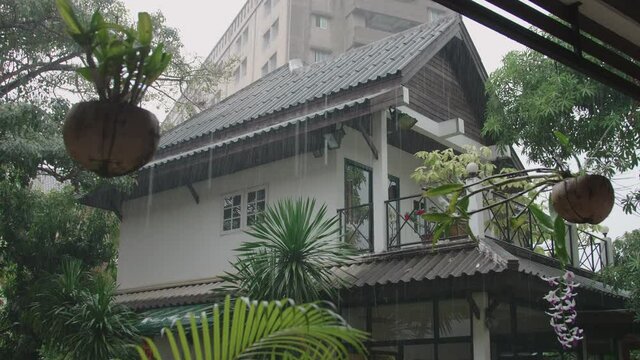 Heavy rain falling on tropical house with green nature surroundings, hanging coconut plater vases. Brown apartment building in the background. Tropical thunderstorm.