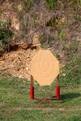 Cardboard Shooting Target fighting style.
