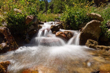 Fototapeta na wymiar flowing Waterfall in a creek