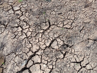 dry cracked earth