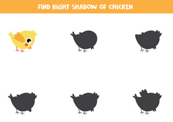 Find correct shadow of cute yellow baby chicken.