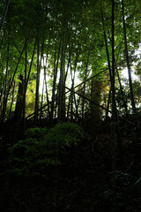 Naklejka premium 田野町風景